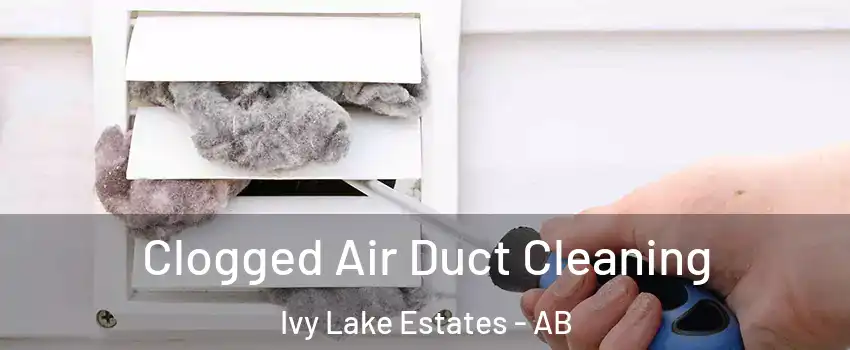  Clogged Air Duct Cleaning Ivy Lake Estates - AB