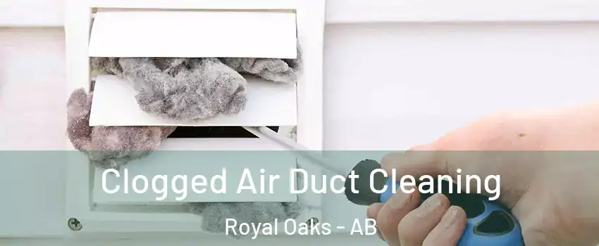  Clogged Air Duct Cleaning Royal Oaks - AB