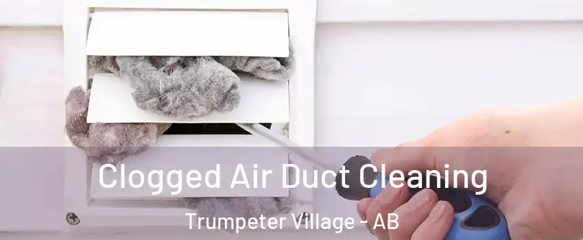  Clogged Air Duct Cleaning Trumpeter Village - AB