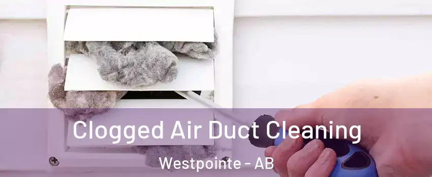  Clogged Air Duct Cleaning Westpointe - AB