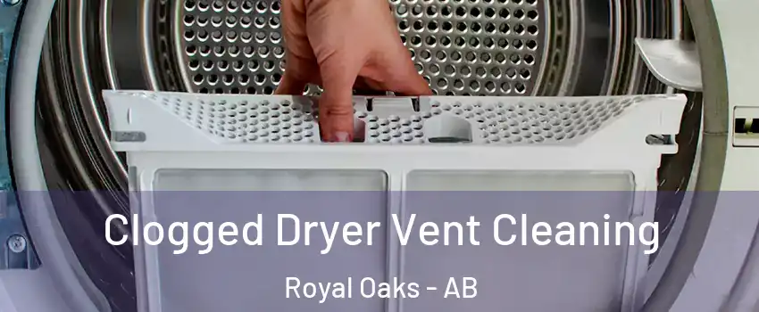  Clogged Dryer Vent Cleaning Royal Oaks - AB