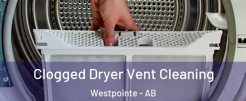  Clogged Dryer Vent Cleaning Westpointe - AB