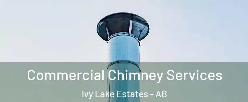  Commercial Chimney Services Ivy Lake Estates - AB