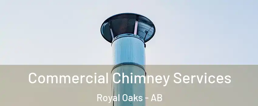  Commercial Chimney Services Royal Oaks - AB