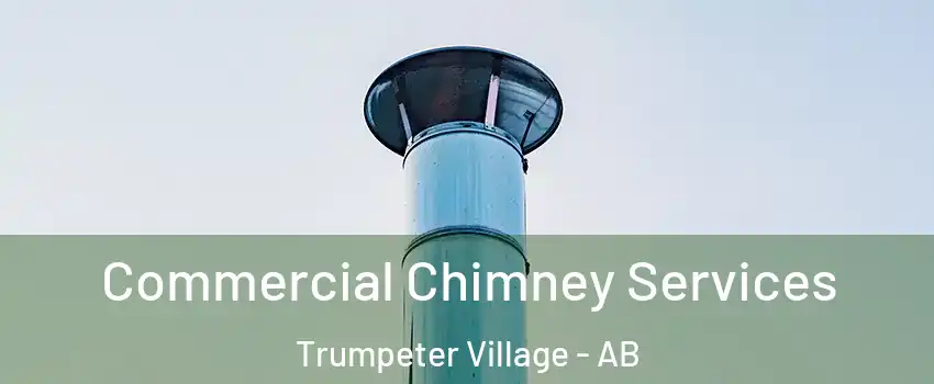  Commercial Chimney Services Trumpeter Village - AB