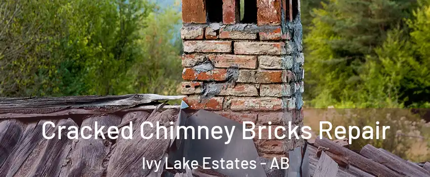  Cracked Chimney Bricks Repair Ivy Lake Estates - AB