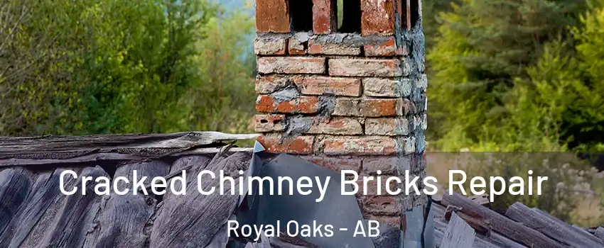  Cracked Chimney Bricks Repair Royal Oaks - AB