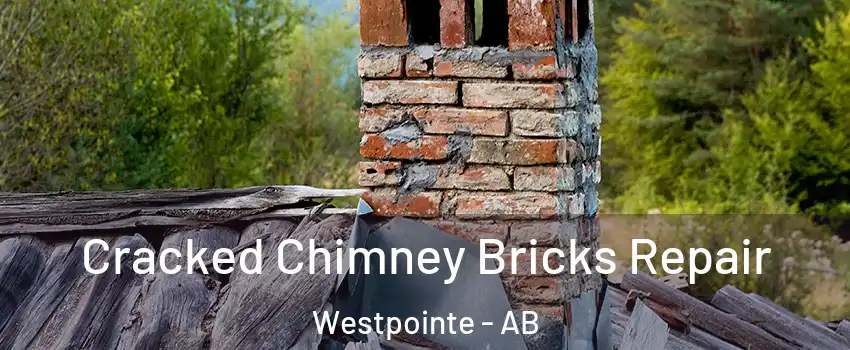  Cracked Chimney Bricks Repair Westpointe - AB