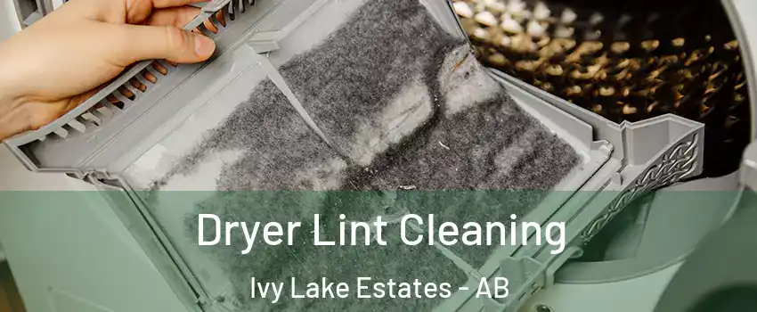  Dryer Lint Cleaning Ivy Lake Estates - AB