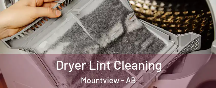  Dryer Lint Cleaning Mountview - AB