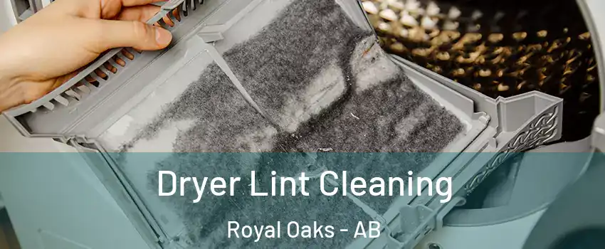  Dryer Lint Cleaning Royal Oaks - AB