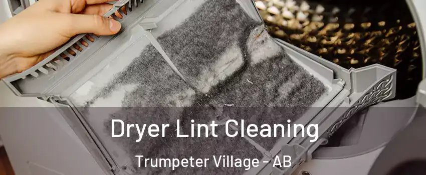  Dryer Lint Cleaning Trumpeter Village - AB