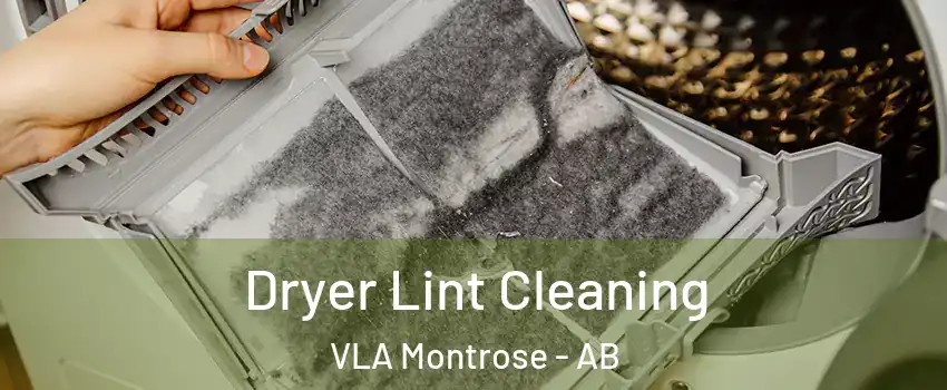  Dryer Lint Cleaning VLA Montrose - AB