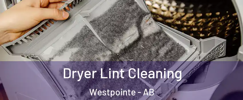  Dryer Lint Cleaning Westpointe - AB