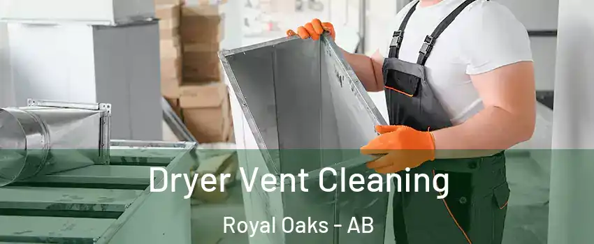  Dryer Vent Cleaning Royal Oaks - AB