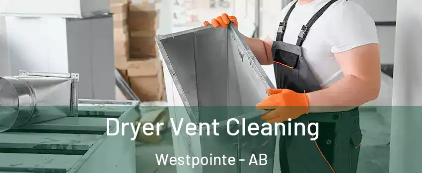  Dryer Vent Cleaning Westpointe - AB