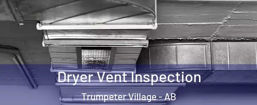  Dryer Vent Inspection Trumpeter Village - AB