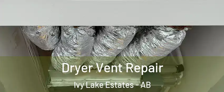  Dryer Vent Repair Ivy Lake Estates - AB