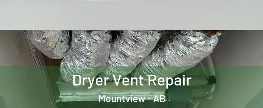  Dryer Vent Repair Mountview - AB