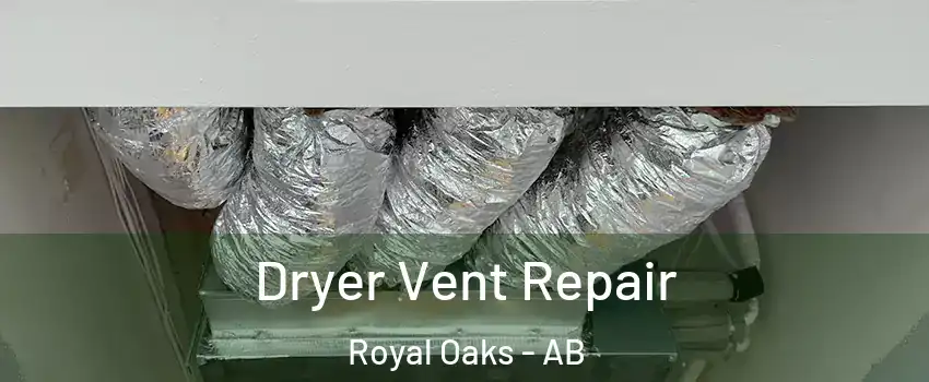 Dryer Vent Repair Royal Oaks - AB