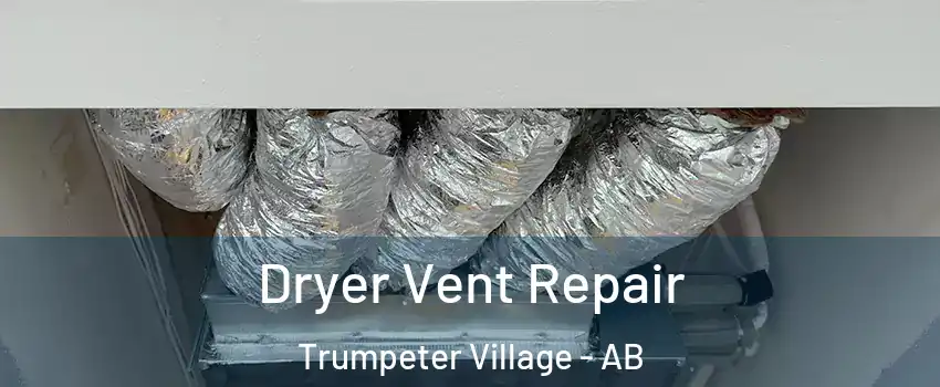  Dryer Vent Repair Trumpeter Village - AB