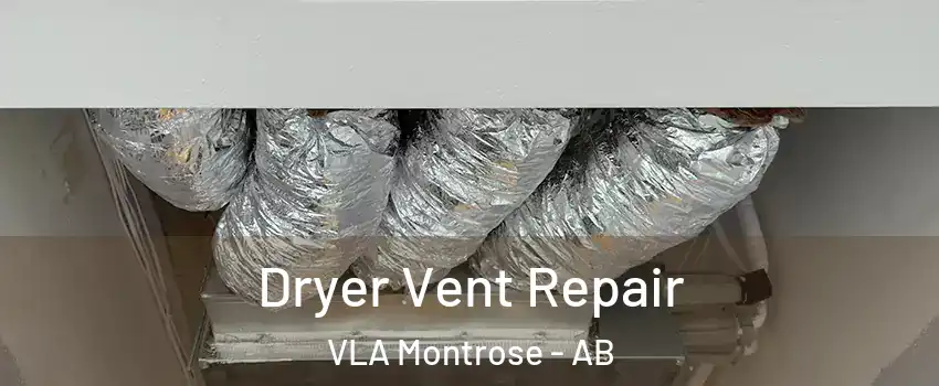  Dryer Vent Repair VLA Montrose - AB