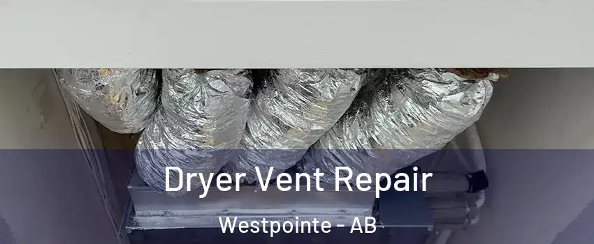  Dryer Vent Repair Westpointe - AB