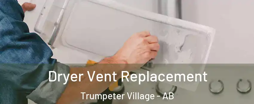  Dryer Vent Replacement Trumpeter Village - AB