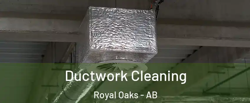  Ductwork Cleaning Royal Oaks - AB