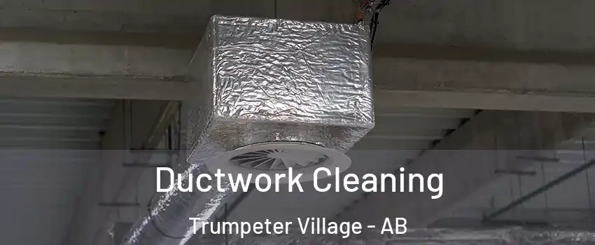  Ductwork Cleaning Trumpeter Village - AB