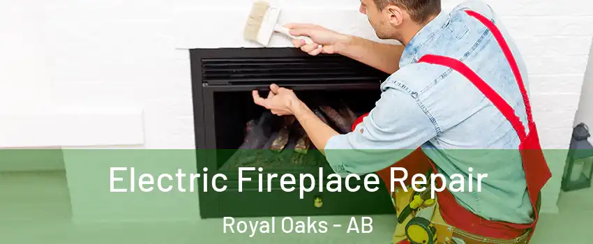  Electric Fireplace Repair Royal Oaks - AB