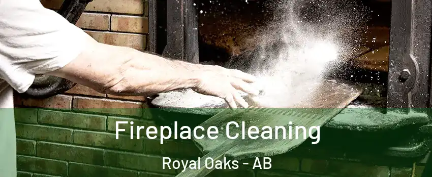  Fireplace Cleaning Royal Oaks - AB