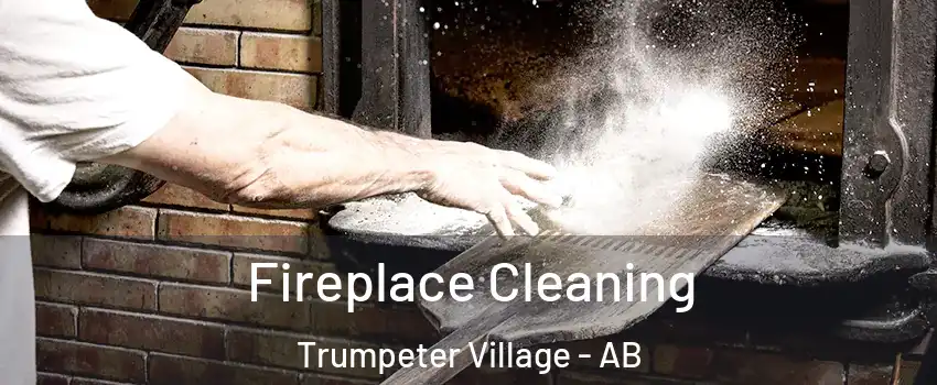  Fireplace Cleaning Trumpeter Village - AB