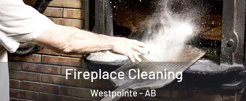  Fireplace Cleaning Westpointe - AB