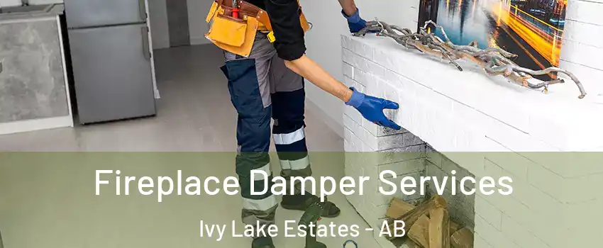 Fireplace Damper Services Ivy Lake Estates - AB
