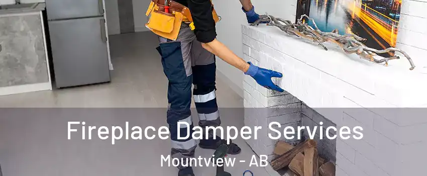  Fireplace Damper Services Mountview - AB