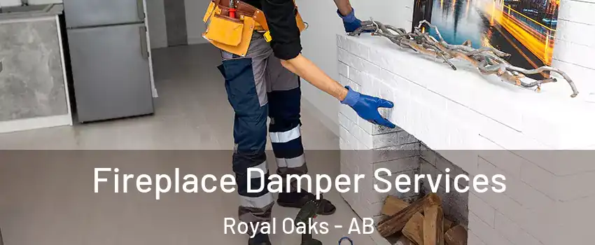  Fireplace Damper Services Royal Oaks - AB