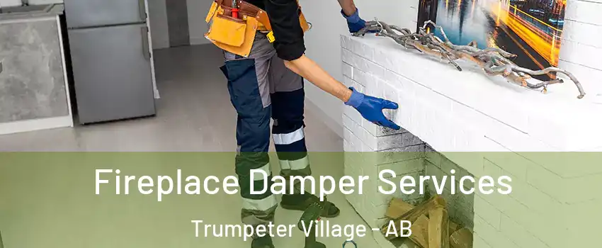 Fireplace Damper Services Trumpeter Village - AB
