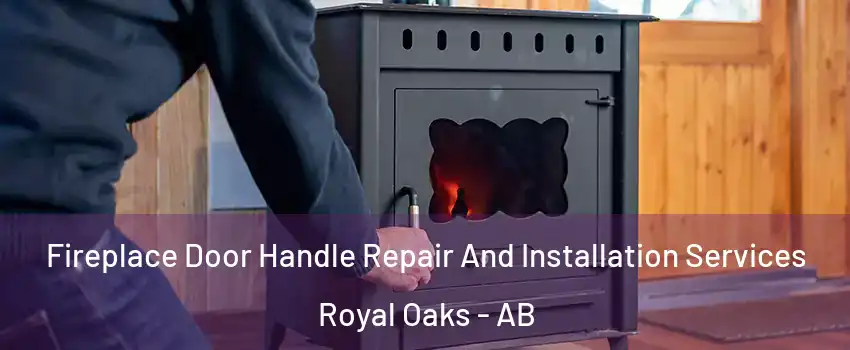  Fireplace Door Handle Repair And Installation Services Royal Oaks - AB