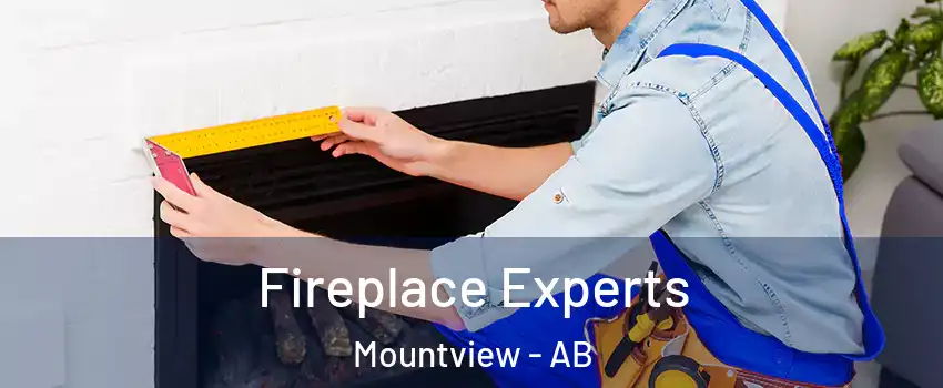  Fireplace Experts Mountview - AB