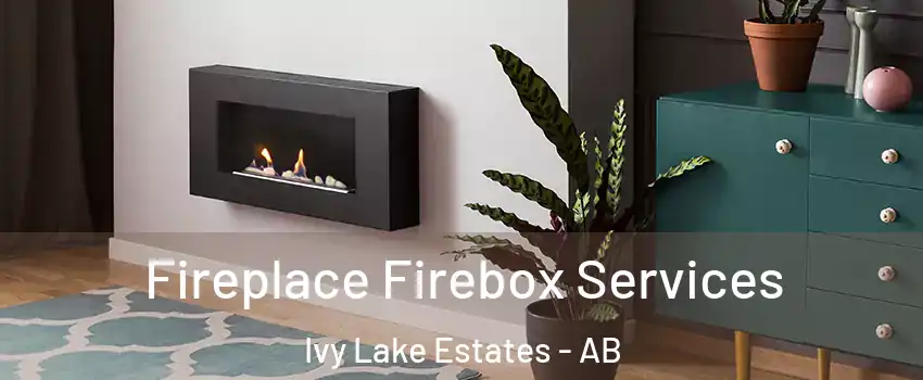  Fireplace Firebox Services Ivy Lake Estates - AB