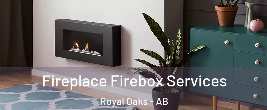  Fireplace Firebox Services Royal Oaks - AB