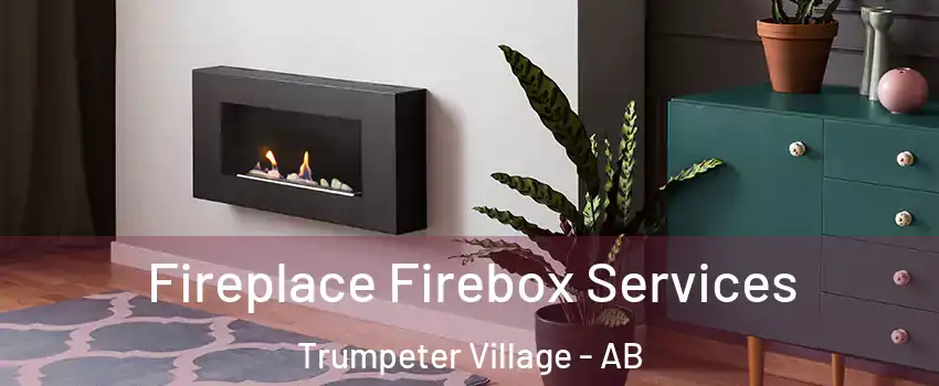  Fireplace Firebox Services Trumpeter Village - AB