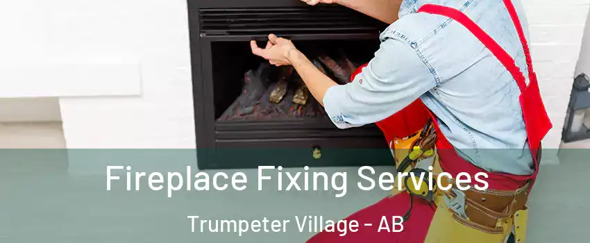  Fireplace Fixing Services Trumpeter Village - AB