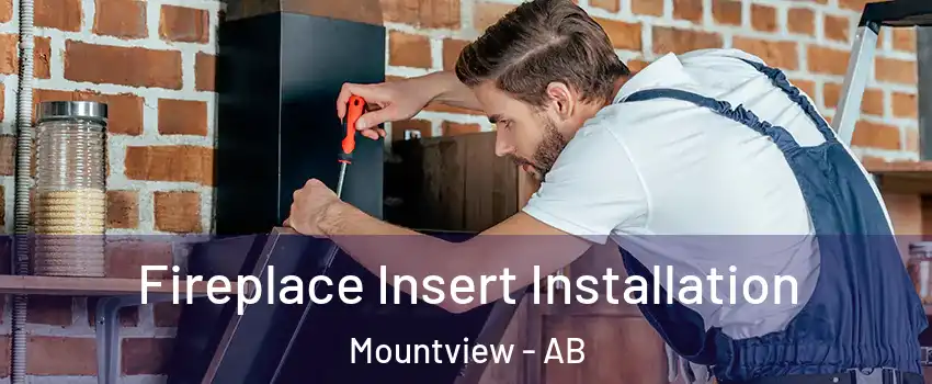  Fireplace Insert Installation Mountview - AB
