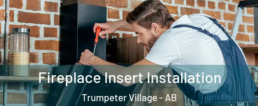  Fireplace Insert Installation Trumpeter Village - AB