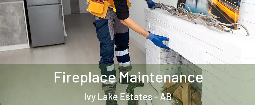  Fireplace Maintenance Ivy Lake Estates - AB