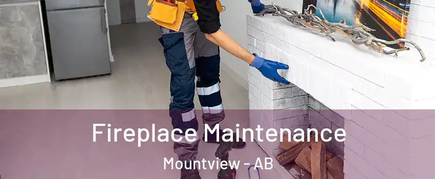  Fireplace Maintenance Mountview - AB