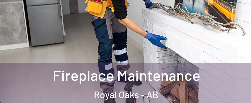  Fireplace Maintenance Royal Oaks - AB