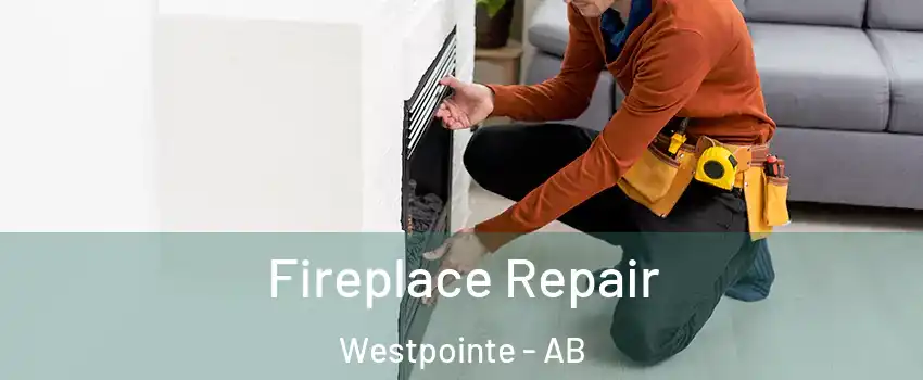  Fireplace Repair Westpointe - AB